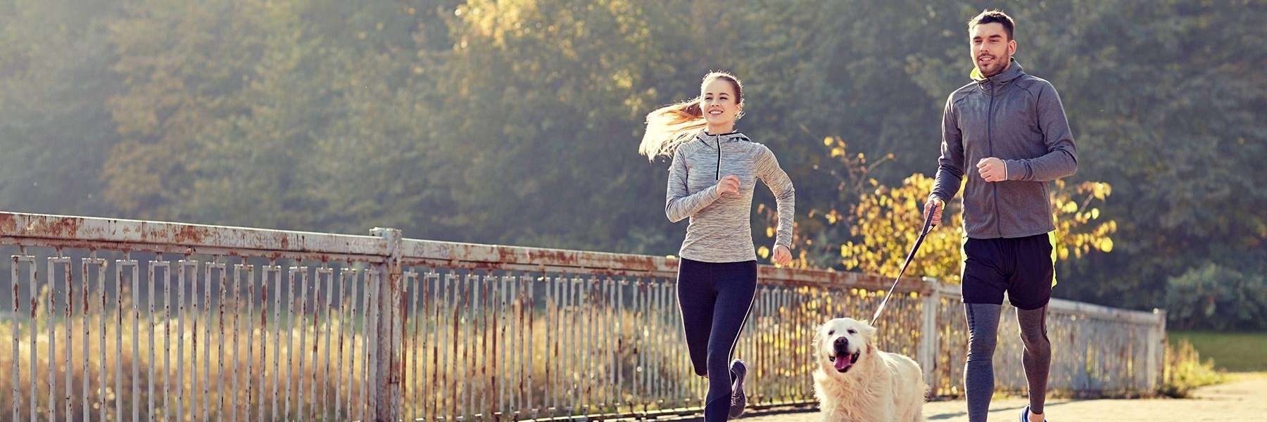 mount waverley dentist